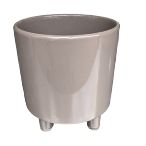 Vaso Chakra