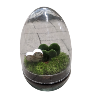 Terrarium
