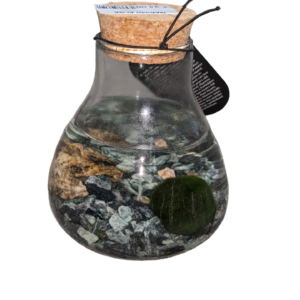 Marimo