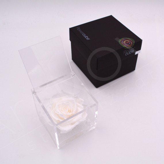 Flowercube rosa 10x10 packaging colore bianco