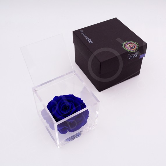 Flowercube rosa 10x10 packaging colore blu