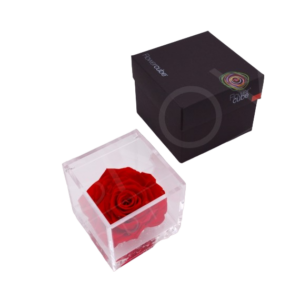 Flowercube rosa 10x10 packaging colore rosso