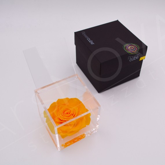 Flowercube rosa 10x10 packaging colore giallo