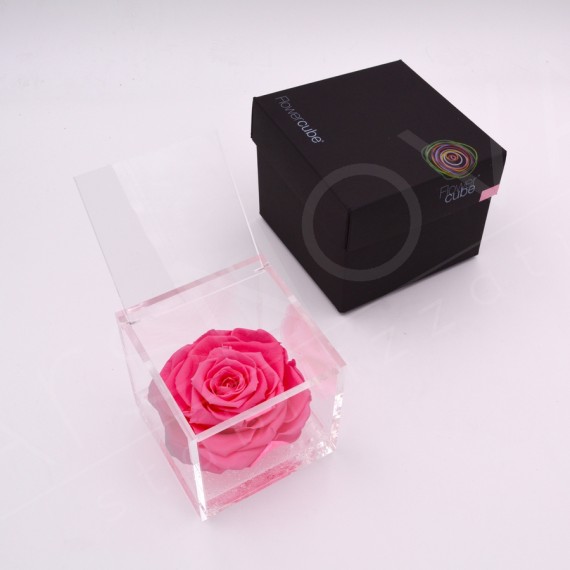 Flowercube rosa 10x10 packaging colore rosa