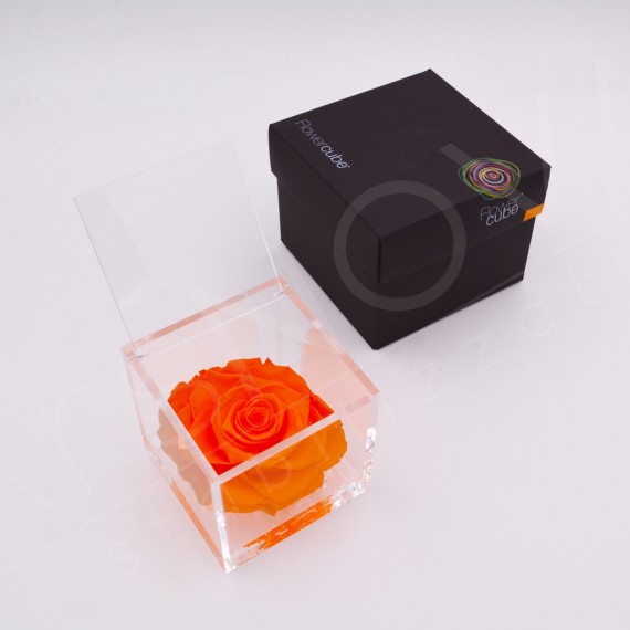 Flowercube rosa 10x10 packaging colore arancio