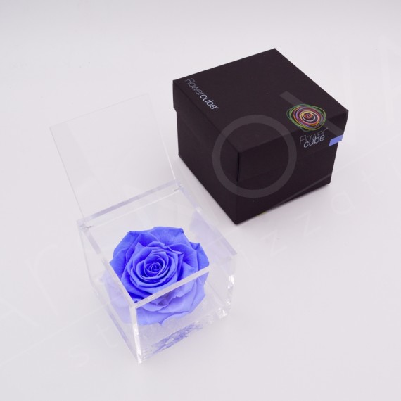 Flowercube rosa 10x10 packaging colore azzurro
