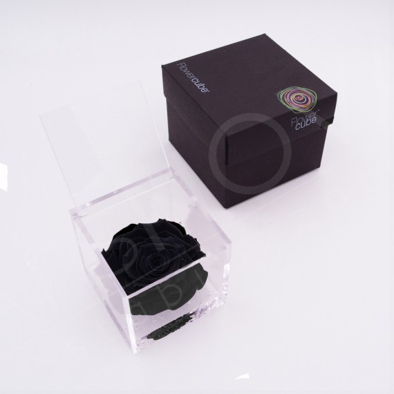 Flowercube rosa 10x10 packaging colore nero