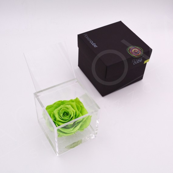 Flowercube rosa 10x10 packaging colore verde