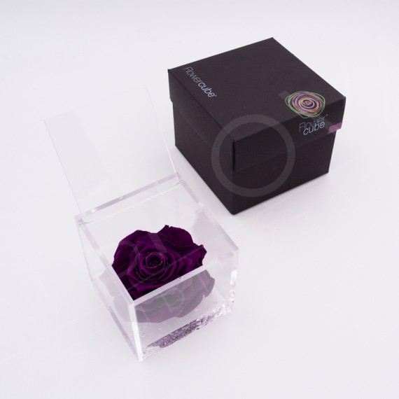 Flowercube rosa 10x10 packaging colore viola