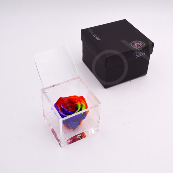 Flowercube Rosa 8x8 packaging colore rainbow