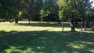 I lavori di marzo nel giardino