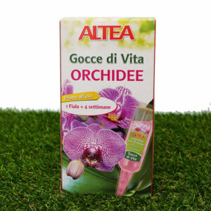Gocce di vita Orchidee