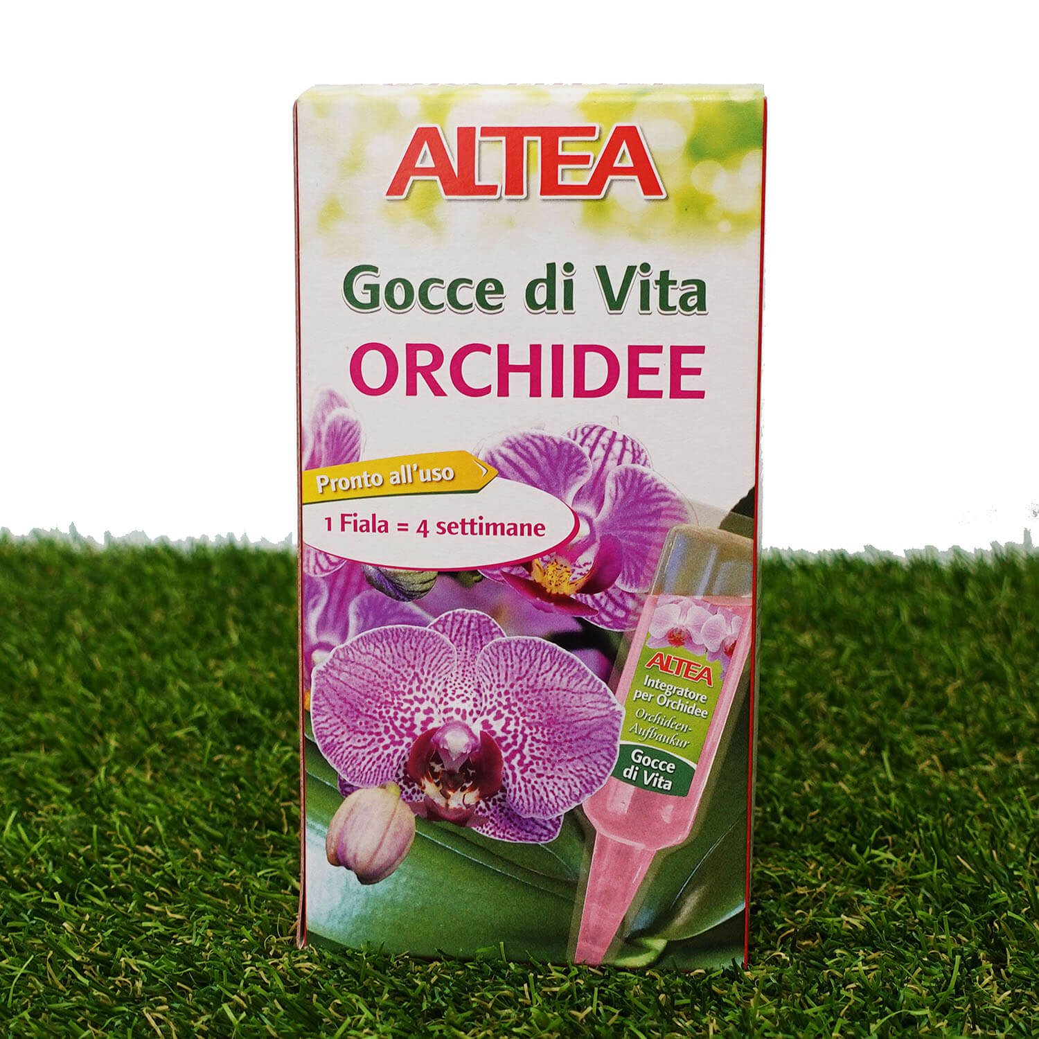 Gocce di vita Orchidee
