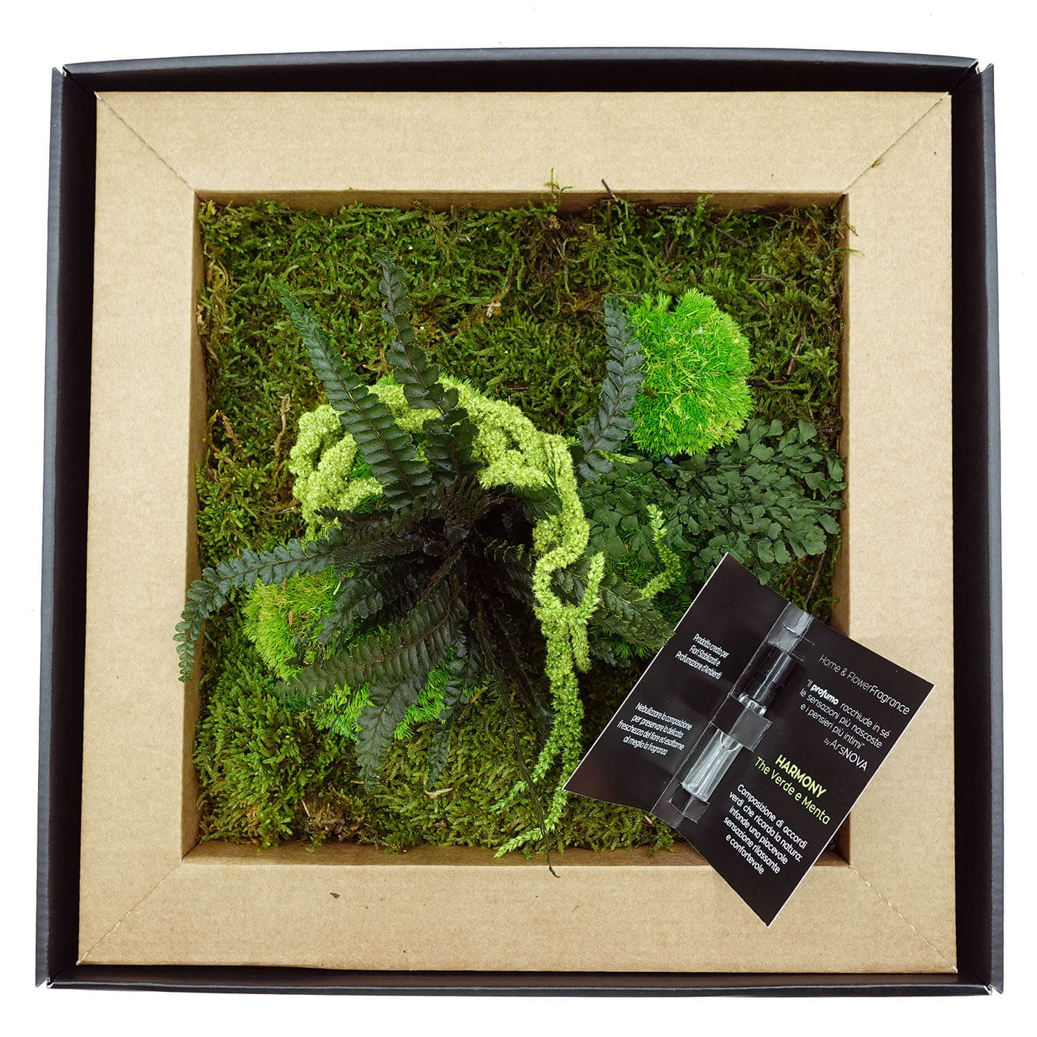 Quadro Piante Stabilizzate - immagine 2