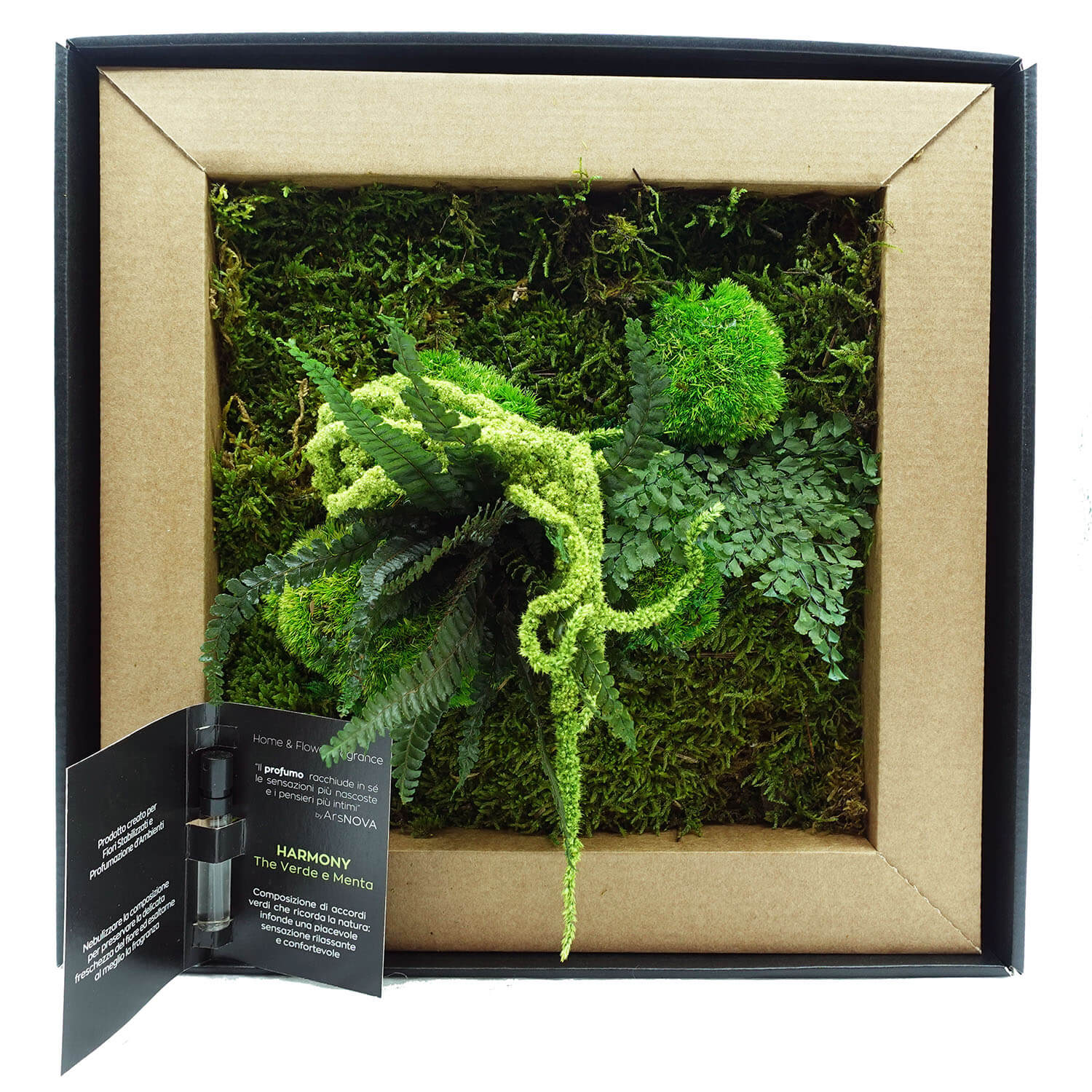 Quadro Piante Stabilizzate