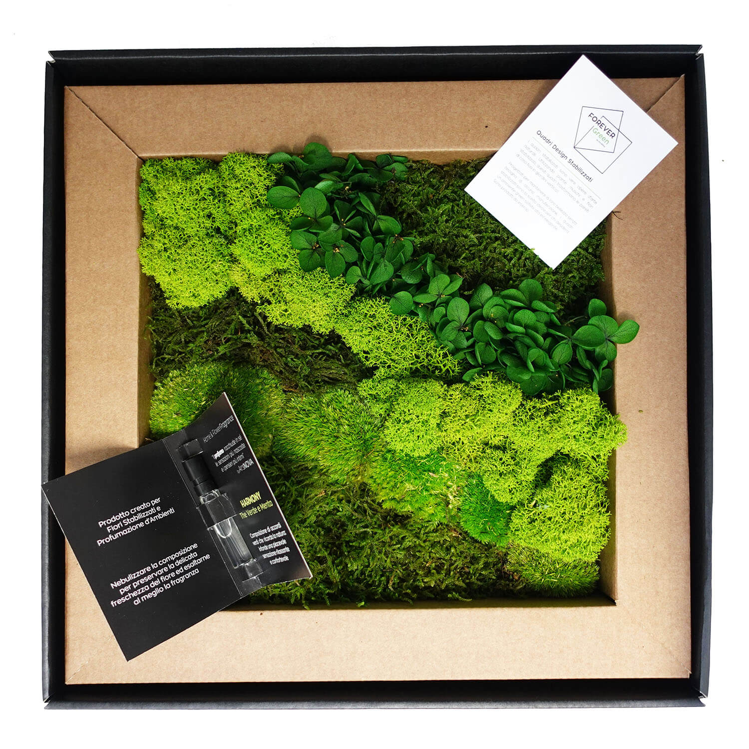 Quadro Muschio stabilizzato - immagine 2
