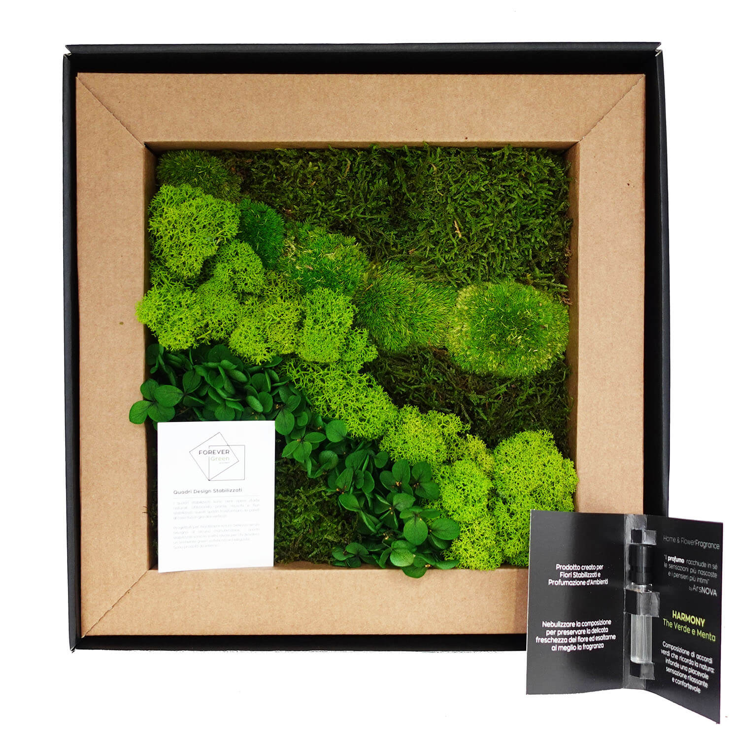 Quadro Muschio stabilizzato - immagine 3